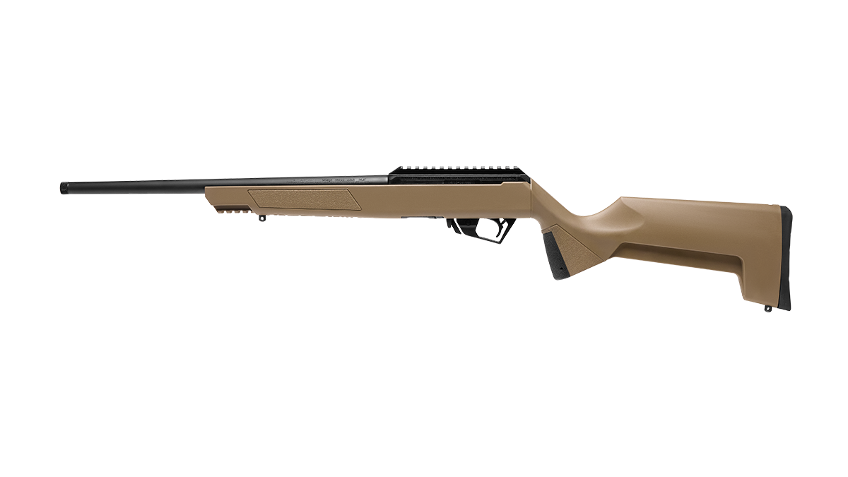 FDE image